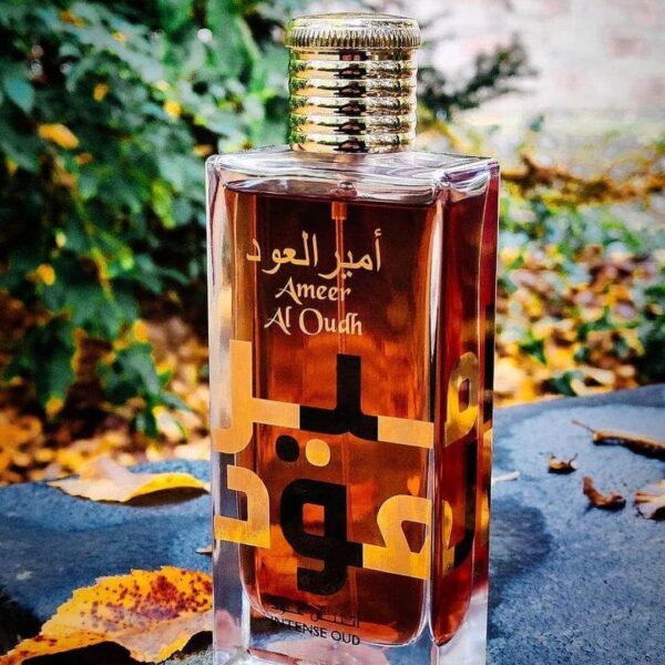 Ameer al oud - Imagen 2