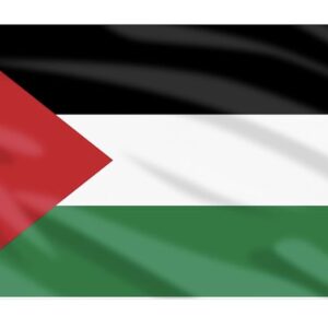 Bandera de palestina 🇵🇸