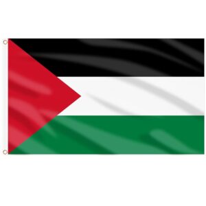 Bandera palestina 